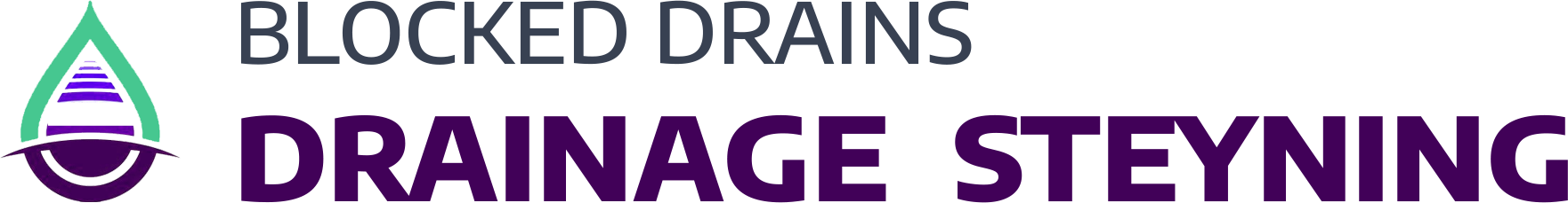 website logo